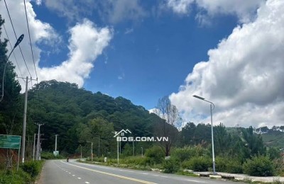 QUỸ ĐẤT VÀNG 6132M² TÂN VĂN - SẴN THỔ CƯ KHỦNG - ĐƯỜNG NHỰA 10M!