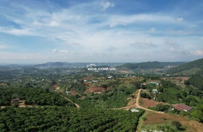 Bán đất tân văn lâm hà hơn 6000m2 hàng hiếm có khó tìm ạ