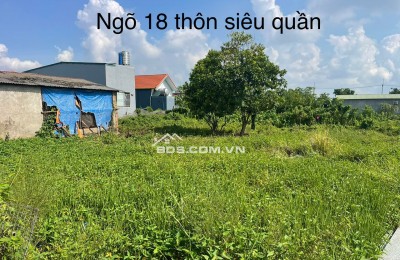 Bán đất chính chủ tại ngõ 18 thôn Siêu Quần xã Tả Thanh Oai, Thanh Trì
