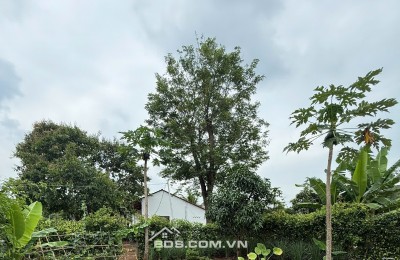 GREENERY HOUSE BÀ RỊA – CƠ HỘI SỞ HỮU NHÀ VƯỜN NGHỈ DƯỠNG CHỈ TỪ 3 TỶ ĐỒNG/LÔ