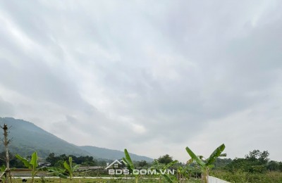 Bán đất đẹp tại Cư Yên, Lương Sơn, Hòa Bình 420m2 giá chỉ 2,5 tỷ