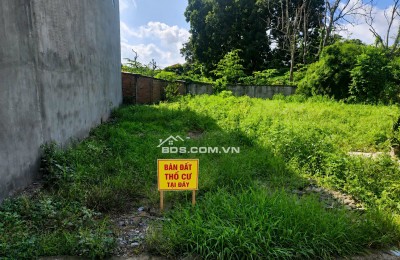 BÁN ĐẤT THỔ CƯ TẠI AN PHƯỚC - LONG THÀNH - ĐỒNG NAI