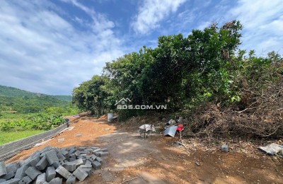 Bán cắt đất thị trấn Lương Sơn, Hòa Bình 1000m2 giá chỉ 3 tỷ