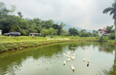 Cần bán 3100m2 có ao View cánh đồng tại Cư Yên, Lương Sơn, Hòa Bình