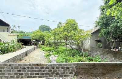 BÁN ĐẤT MẶT ĐƯỜNG TRỤC CHÍNH TÂN VINH 251m2 – VỊ TRÍ ĐẸP KINH DOANH TỐT