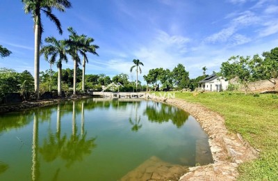 BÁN MẢNH ĐẤT TUYỆT ĐẸP CÓ AO VIEW CÁNH ĐỒNG TAI LƯƠNG SƠN HÒA BÌNH