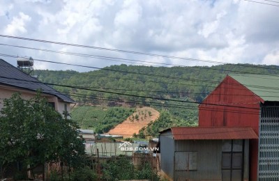 Chính chủ bán gấp 240m² đất mặt tiền Xuân Sơn, Xuân Trường, Đà Lạt.