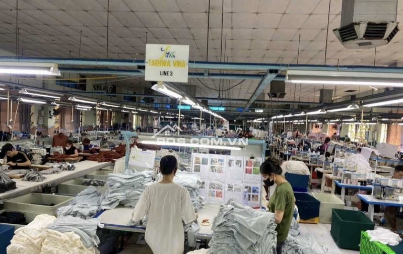 Cho thuê nhà xưởng ngành may 3200m2 Tân Thới Nhất Quận 12