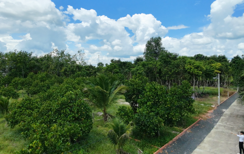 Bán Đất Vườn Mít Gần Trung Tâm Hành Chính Chơn Thành