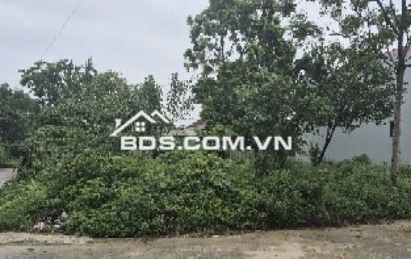 Bán đất chính chủ 85,6m2 tại Đông Hạ Đông Yên Quốc Oai sổ sẵn giao dịch
