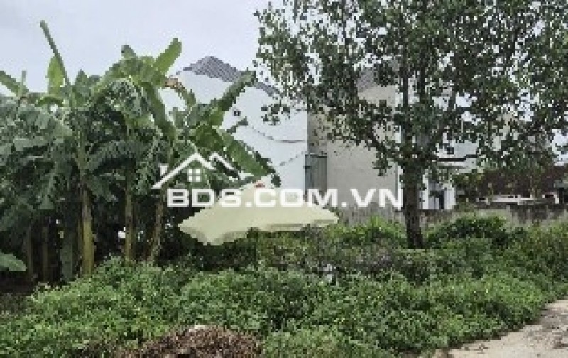 Bán đất chính chủ 85,6m2 tại Đông Hạ Đông Yên Quốc Oai sổ sẵn giao dịch