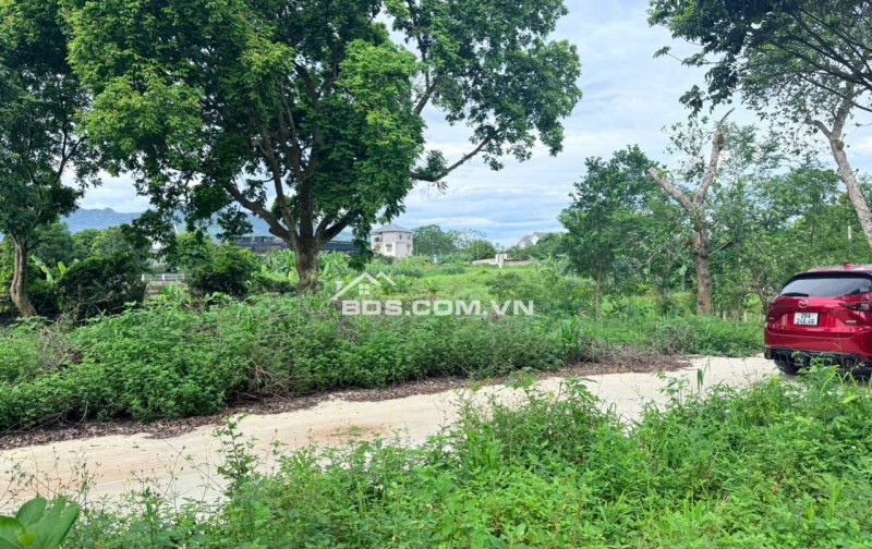 Bán cắt lỗ diện tích 502m2/100m2 ONT tại khu nghỉ dưỡng OASIS Nhuận Trạch, Lương Sơn. Giá 3.3 tỷ