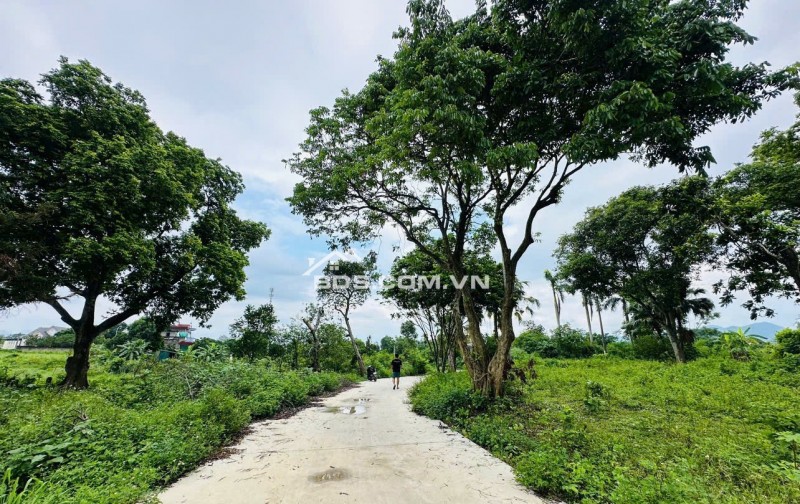 Bán cắt lỗ diện tích 502m2/100m2 ONT tại khu nghỉ dưỡng OASIS Nhuận Trạch, Lương Sơn. Giá 3.3 tỷ