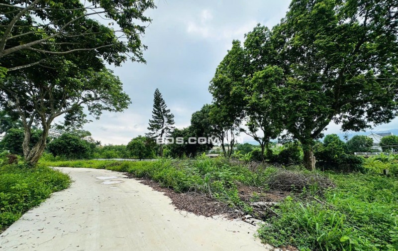 Bán cắt lỗ diện tích 502m2/100m2 ONT tại khu nghỉ dưỡng OASIS Nhuận Trạch, Lương Sơn. Giá 3.3 tỷ