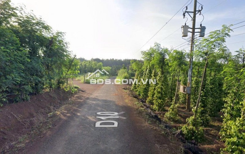 Bán Đất 1000m2 có sẵn 50 m2 thổ cư giá 4.2 tỷ tại Xã Tân Thành Huyện Bù Đốp Bình Phước