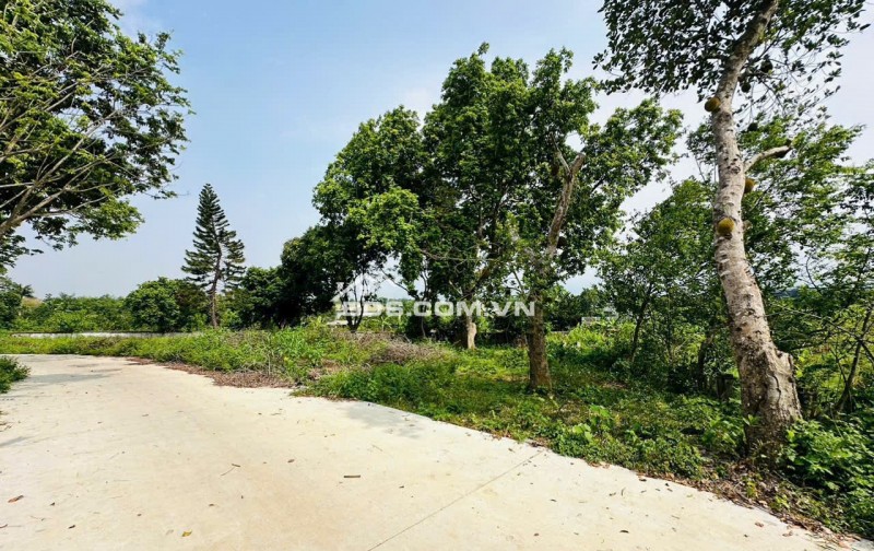 Săn đất nhà vườn giá tốt diện tích 502m² tại Lương Sơn không gian thoáng đẹp