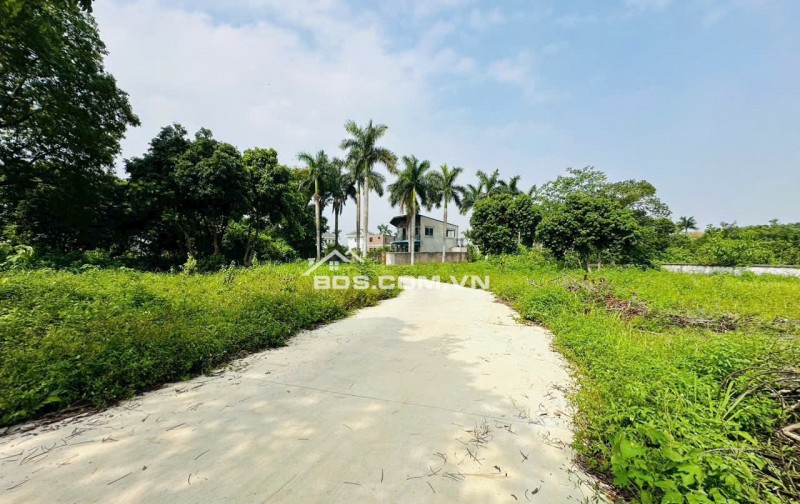 Săn đất nhà vườn giá tốt diện tích 502m² tại Lương Sơn không gian thoáng đẹp