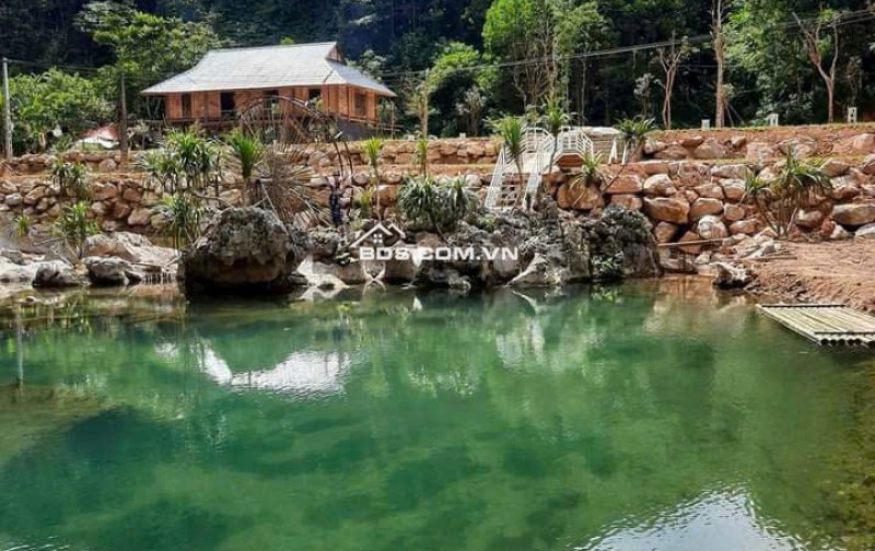Mảnh đất 5500m cần bán có ao , có suối ,có view đẹp tại Lương Sơn Hòa Bình