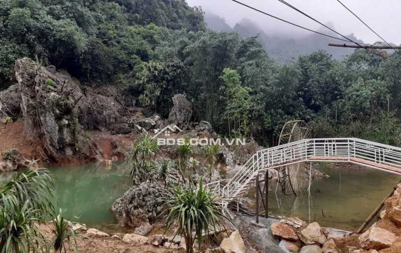 Mảnh đất 5500m cần bán có ao , có suối ,có view đẹp tại Lương Sơn Hòa Bình