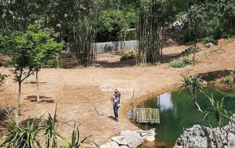 Mảnh đất 5500m cần bán có ao , có suối ,có view đẹp tại Lương Sơn Hòa Bình