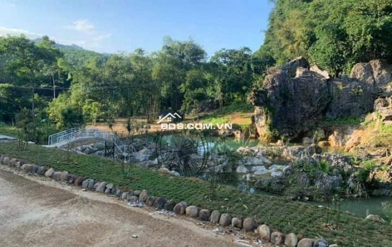 Mảnh đất 5500m cần bán có ao , có suối ,có view đẹp tại Lương Sơn Hòa Bình