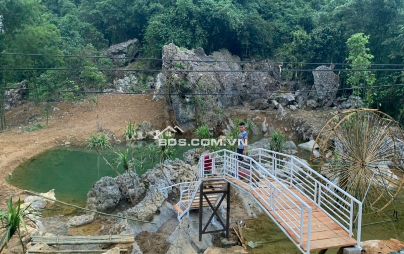Mảnh đất 5500m cần bán có ao , có suối ,có view đẹp tại Lương Sơn Hòa Bình
