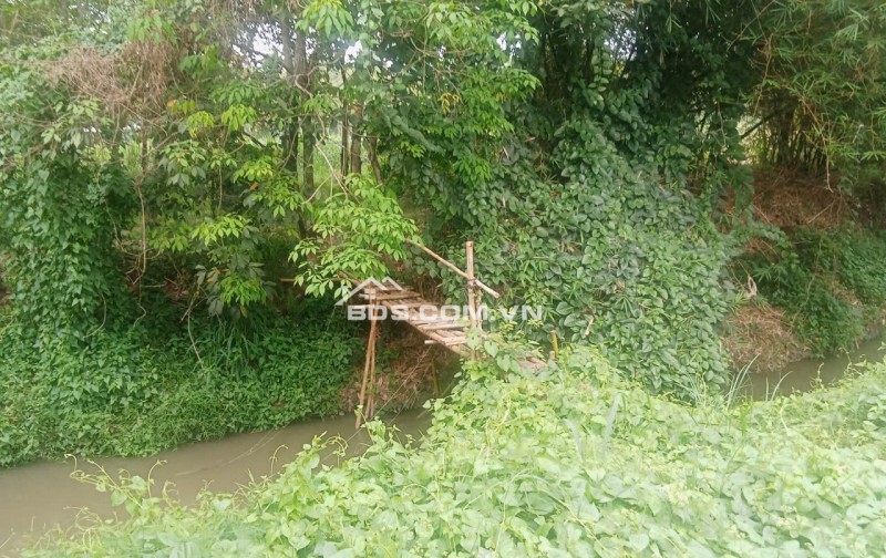 GIẢM GIÁ BÁN GẤP ĐẤT PHÚ MỸ HƯNG, CỦ CHI, TỪ 2.5 TỶ CHỈ CÒN 2.1 TỶ. LH:0918091655.
