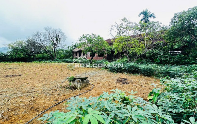 SIÊU PHẨM LÔ GÓC HIẾM – 1.764m² CÓ 200m² THỔ CƯ – 4 MẶT THOÁNG – CHỈ CÁCH TRUNG TÂM HÀ NỘI 40KM