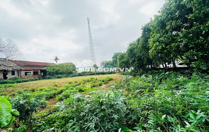 SIÊU PHẨM LÔ GÓC HIẾM – 1.764m² CÓ 200m² THỔ CƯ – 4 MẶT THOÁNG – CHỈ CÁCH TRUNG TÂM HÀ NỘI 40KM