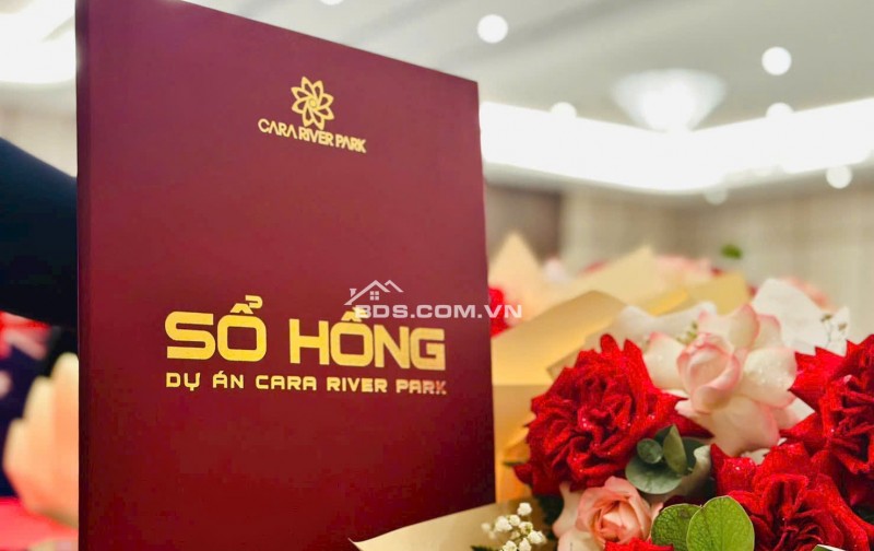 BÁN CĂN HỘ CHUNG CƯ CAO CẤP TẠI TRUNG TÂM THÀNH PHỐ CẦN THƠ
