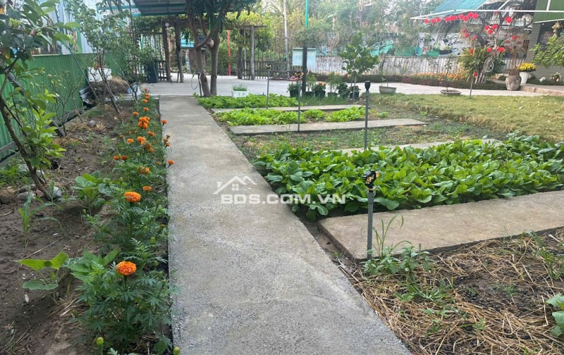 BÁN TRƯỜNG MẦN NON THÔN GÒ SẠN, XÃ BẮC PHONG, HUYỆN THUẬN BẮC. LH:0906000199.