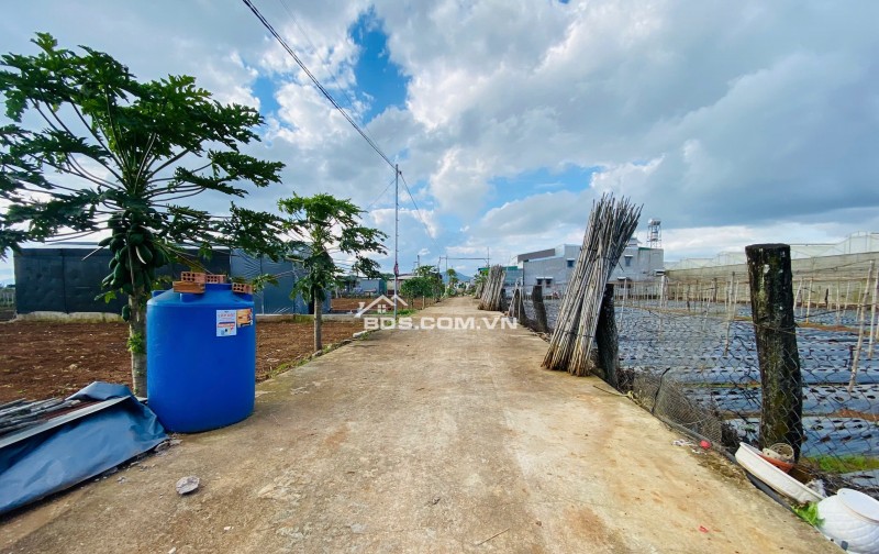 Bán đất 112,5m² Liên Nghĩa, Đức Trọng, Lâm Đồng – Gần trung tâm hành chính, giá 1,2 tỷ