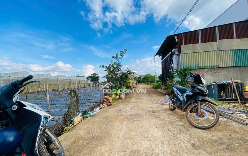 Bán đất 112,5m² Liên Nghĩa, Đức Trọng, Lâm Đồng – Gần trung tâm hành chính, giá 1,2 tỷ