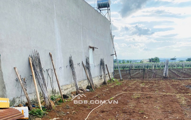 Bán đất 112,5m² Liên Nghĩa, Đức Trọng, Lâm Đồng – Gần trung tâm hành chính, giá 1,2 tỷ