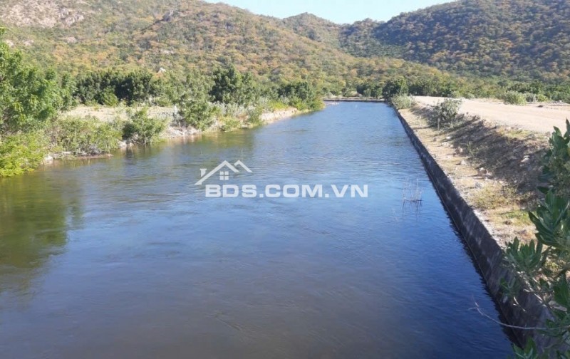CHÍNH CHỦ BÁN VƯỜN CLN 17,7 Ha tại xã Phú Lạc, Bình Thuận (cũ)