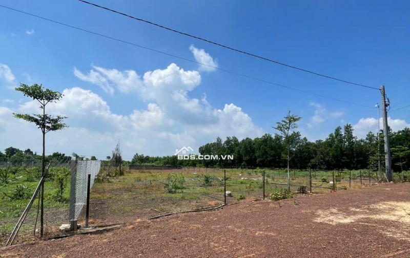 CHỈ 500 TRIỆU SỞ HỮU NGAY 500m² ĐẤT VĨNH AN – KHÓ TÌM GIÁ TỐT HƠN!