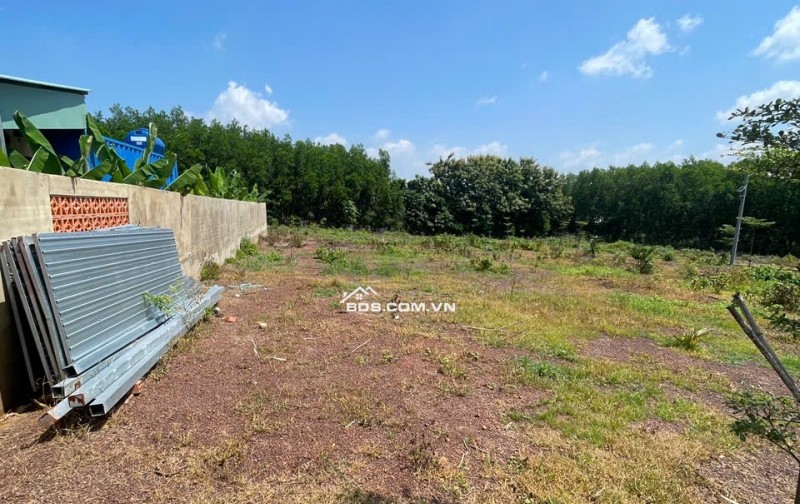 CHỈ 500 TRIỆU SỞ HỮU NGAY 500m² ĐẤT VĨNH AN – KHÓ TÌM GIÁ TỐT HƠN!