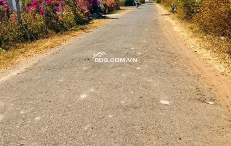 CƠ HỘI ĐẦU TƯ FO 6.560M² - PHỦ HỒNG, SẴN 199M² THỔ CƯ, CHỈ 5.5 TỶ. LH:0368286139