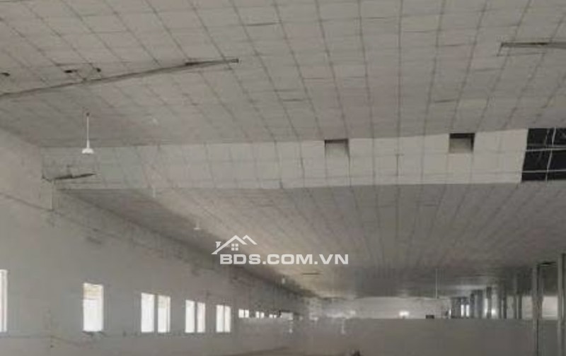 Cho thuê kho, văn phòng 770m2, 1700m2, 2500m2 Phan Huy Ích, Tân Bình