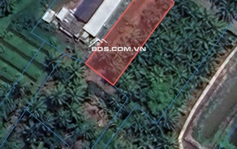 Bán đất CLN mặt tiền lộ lớn chuyển lên đất thổ cư vẫn có lời.