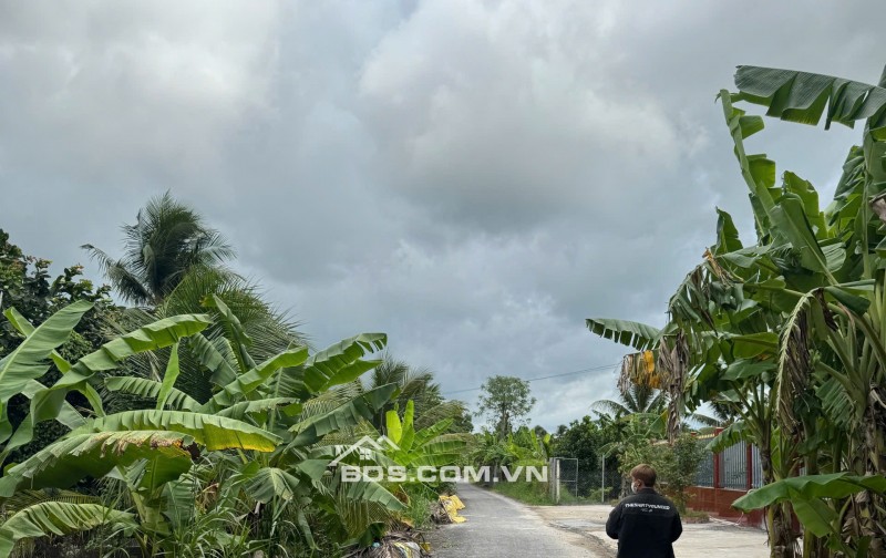 Bán đất CLN mặt tiền lộ lớn chuyển lên đất thổ cư vẫn có lời.