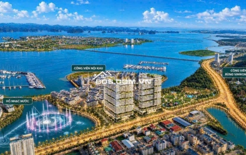 1,5 tỷ Full VAT anh/chị sở hữu ngay căn hộ Mặt Biển View Vịnh Hạ Long