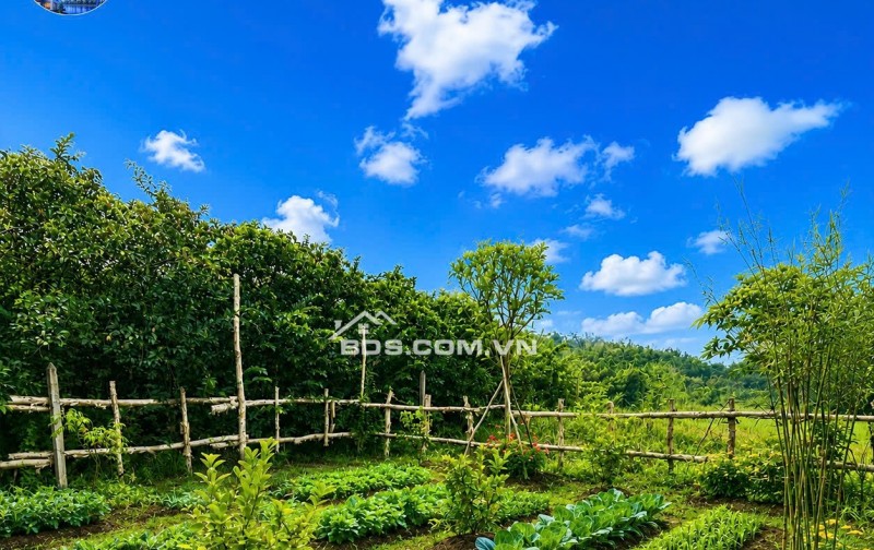 BÁN GẤP lô đất vườn tiềm năng tại Bình Chánh - Giải pháp lý tưởng cho xu hướng nhà lưu động và không gian thư giãn cuối tuần!
