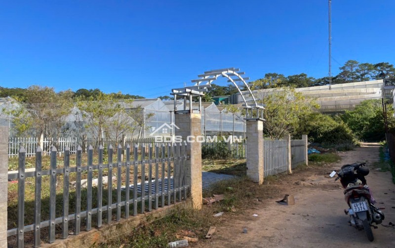 CHÍNH CHỦ BÁN ĐẤT 500M² P7 ĐÀ LẠT - SỔ HỒNG RIÊNG - GIÁ CHỈ 3 TỶ 199 TR