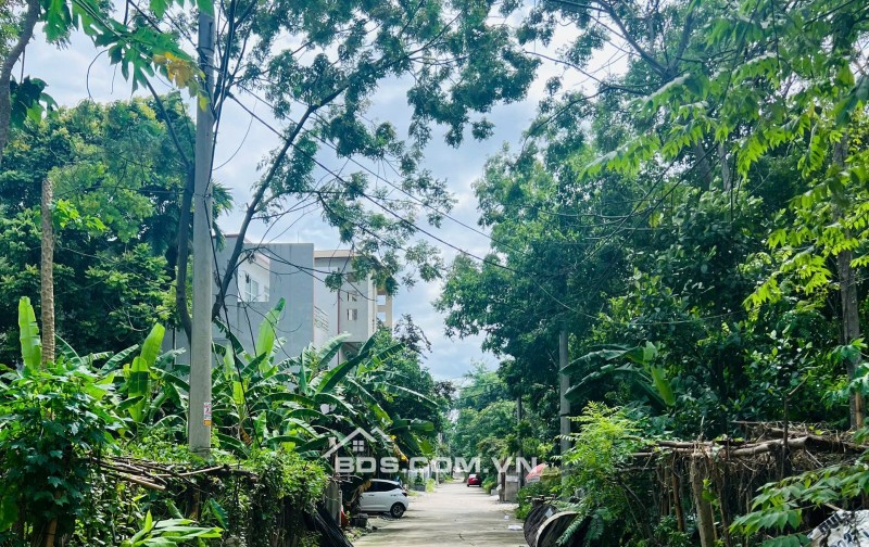  BÁN LÔ ĐẤT 90M2 BĂNG 2 NGUYỄN DU - ĐÓN ĐẦU CHUNG CƯ VƯƠNG CƯỜNG . LH 0768 194 968