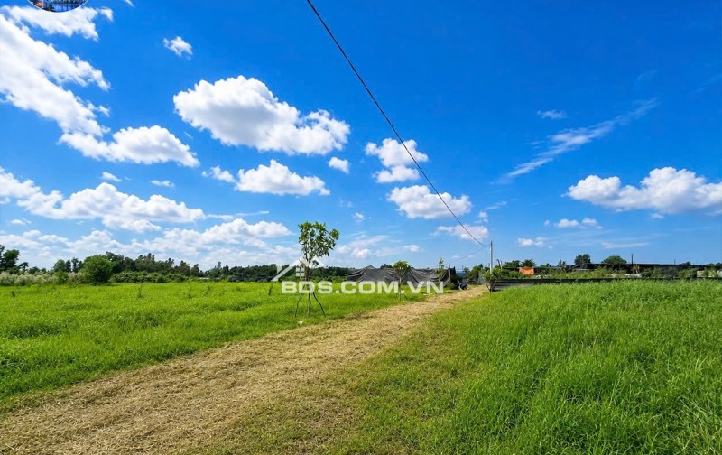 BÁN GẤP lô đất vườn tiềm năng tại Bình Chánh - Giải pháp lý tưởng cho xu hướng nhà lưu động và không gian thư giãn cuối tuần!