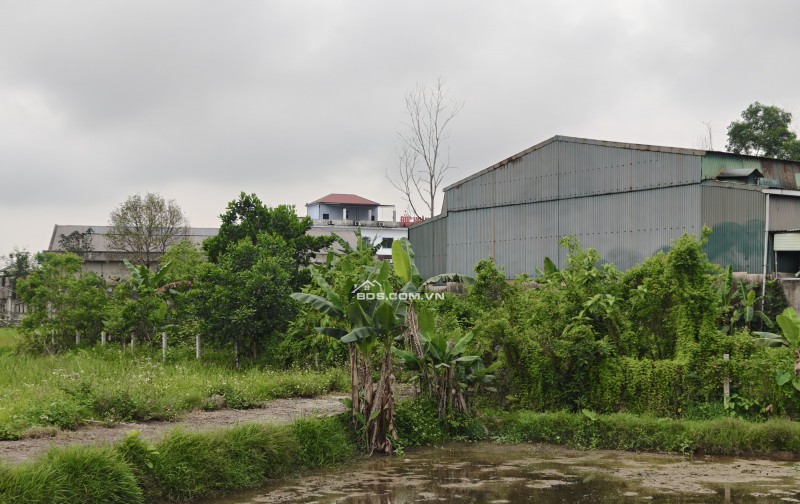 Chính chủ bán 535m² đất full thổ cư - Khối phố Nhật Tân, P. Thành Sen, TP Hà Tĩnh