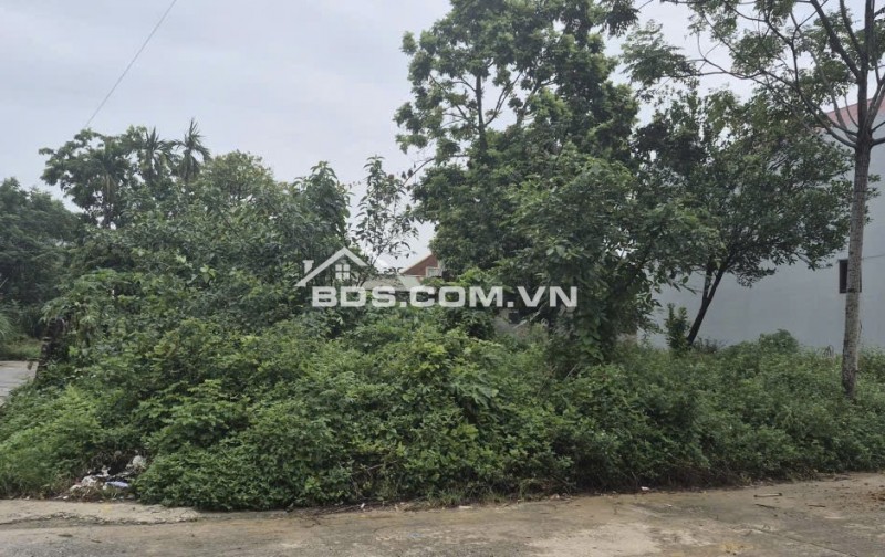 BÁN 85,6 m² ĐẤT ĐÔNG YÊN, QUỐC OAI - SỔ ĐỎ CHÍNH CHỦ