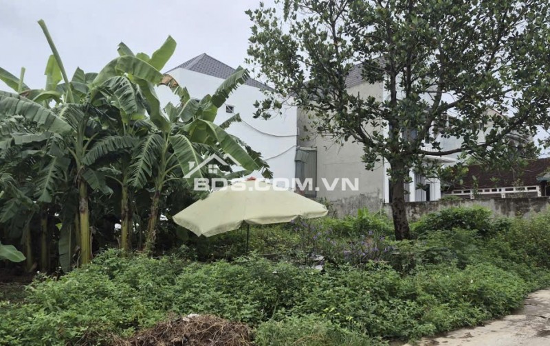BÁN 85,6 m² ĐẤT ĐÔNG YÊN, QUỐC OAI - SỔ ĐỎ CHÍNH CHỦ