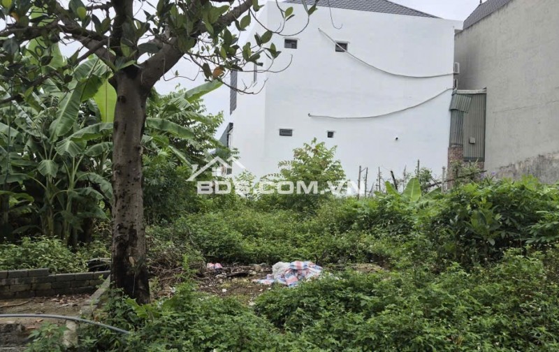 BÁN 85,6 m² ĐẤT ĐÔNG YÊN, QUỐC OAI - SỔ ĐỎ CHÍNH CHỦ